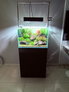 (Category: ) located in . Submitted by edwinchua (Listing ID 1463143653, Image 1). Description: .