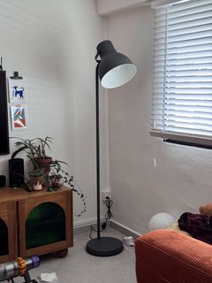 (Category: ) located in . Submitted by dropmyplanties (Listing ID 1463251103, Image 1). Description: .