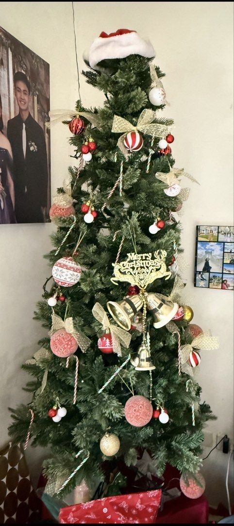 Decorated Christmas Tree with Ornaments and Lights (Category: Other Home Decor) located in Santa Rosa. Submitted by hanzeeline (Listing ID 1463213171, Image 1). Description: - Fully decorated 7tt Christmas tree - Includes red & white baubles, candy canes, bells - 'Merry Christmas' topper - Perfect for festive home decor.