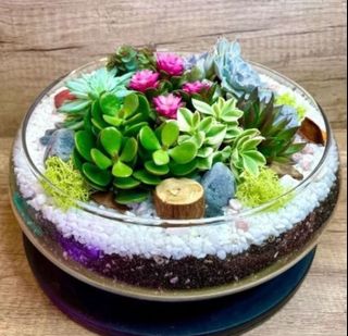 (Category: ) located in . Submitted by lushglassdoor (Listing ID 1463179019, Image 1). Description: .