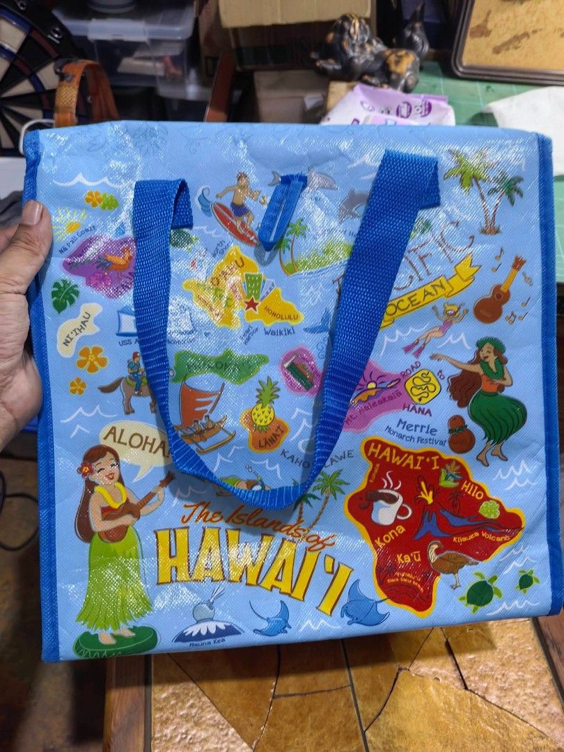 Insulated Picnic Bag (Category: Beach Bags) located in Cebu City. Submitted by dudes_villanueva (Listing ID 1463142254, Image 3). Description: Insulated Picnic Bag 📌 In very good condition. May Konting tastas sa lining Konting tahi Lang needed. Not an issue. L12.5xW9XH12 in.