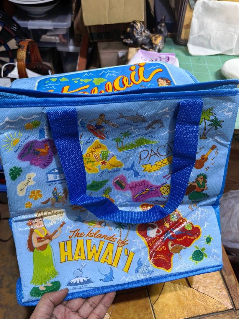 Insulated Picnic Bag (Category: Beach Bags) located in Cebu City. Submitted by dudes_villanueva (Listing ID 1463142254, Image 2). Description: Insulated Picnic Bag 📌 In very good condition. May Konting tastas sa lining Konting tahi Lang needed. Not an issue. L12.5xW9XH12 in.