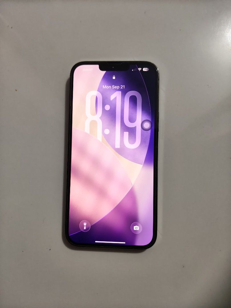 iPhone 13 Pro Max 128gb (Category: iPhone 13 Series) located in Quezon City. Submitted by kbcc_ (Listing ID 1463122137, Image 2). Description: no issue iOS 26 79% battery health.