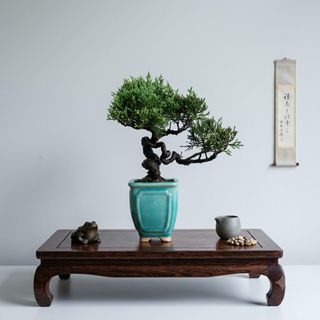 (Category: ) located in . Submitted by hongmeiliu06 (Listing ID 1463182006, Image 1). Description: .