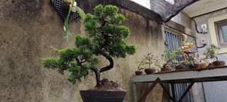 (Category: ) located in . Submitted by sindo.sg (Listing ID 1463198281, Image 1). Description: .