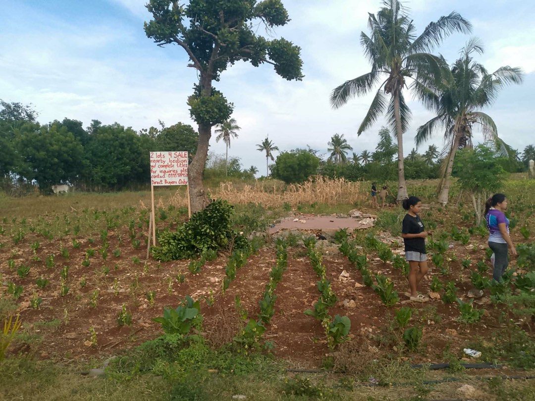 LAND FOR SALE - LAGUINDUINGAN (Category: Lot) located in Talisay. Submitted by greyonce (Listing ID 1463208954, Image 2). Description: Two Lots being sold together as one package •Lot 1: 2758sqm •Lot 2: 9230sqm •Less than 1km from the main Airport Road •With Road access •Titled Property •Large open land •Lots are approximately 30-50 steps apart Viewing is available. ₱5000/sqm .