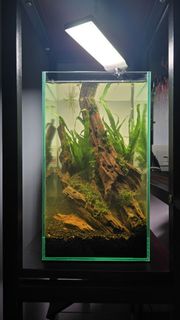 (Category: ) located in . Submitted by adri_an (Listing ID 1463169994, Image 1). Description: .
