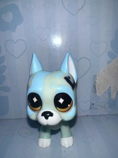 (Category: ) located in . Submitted by littlestpetshopcollector (Listing ID 1463252664, Image 1). Description: .