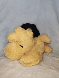 (Category: ) located in . Submitted by adoptablestuffies (Listing ID 1463163809, Image 1). Description: .