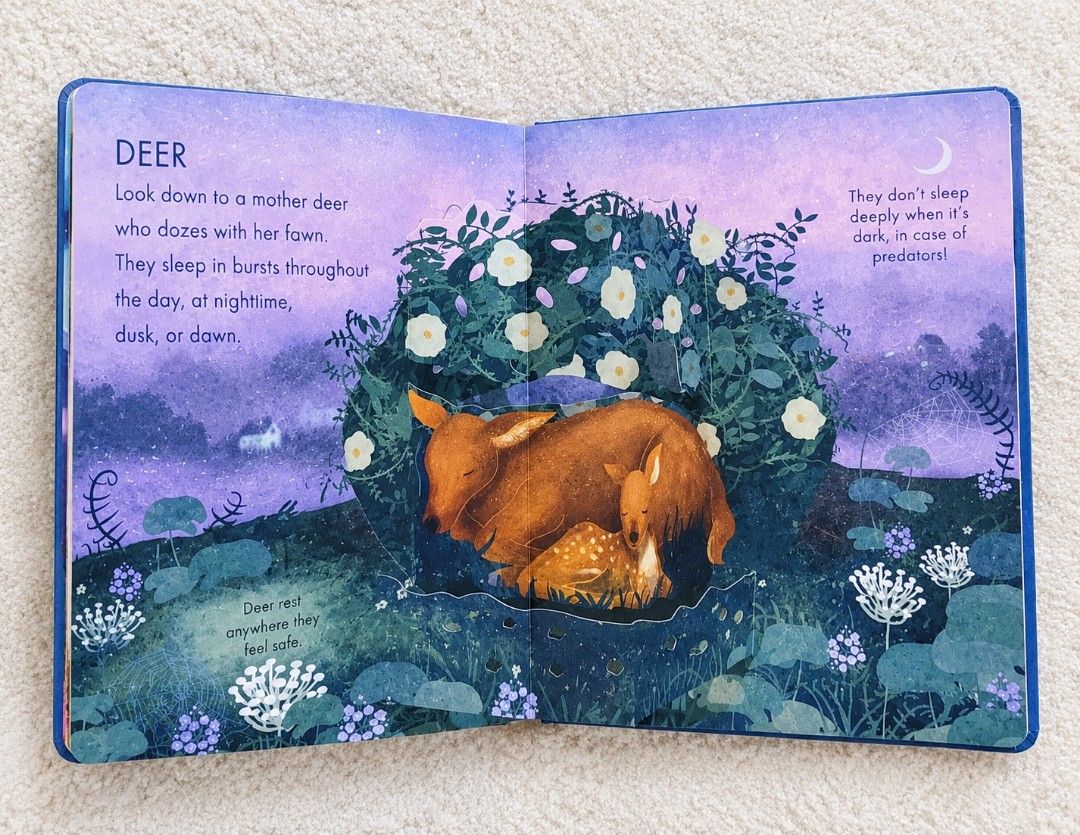 Pop up book about Nature at Night (Category: Children's Books) located in Pateros City. Submitted by sktreasures (Listing ID 1463124634, Image 2). Description: Like New Inside boardbook.