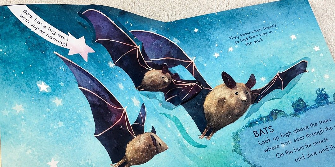 Pop up book about Nature at Night (Category: Children's Books) located in Pateros City. Submitted by sktreasures (Listing ID 1463124634, Image 3). Description: Like New Inside boardbook.