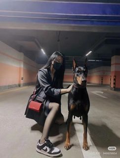 由 irenetj6s93 (刊登 ID 1463168023，圖片 1) 提交，位於 的 (類別：)，說明：。