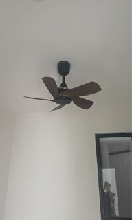 (Category: ) located in . Submitted by hi.saww (Listing ID 1463244625, Image 1). Description: .