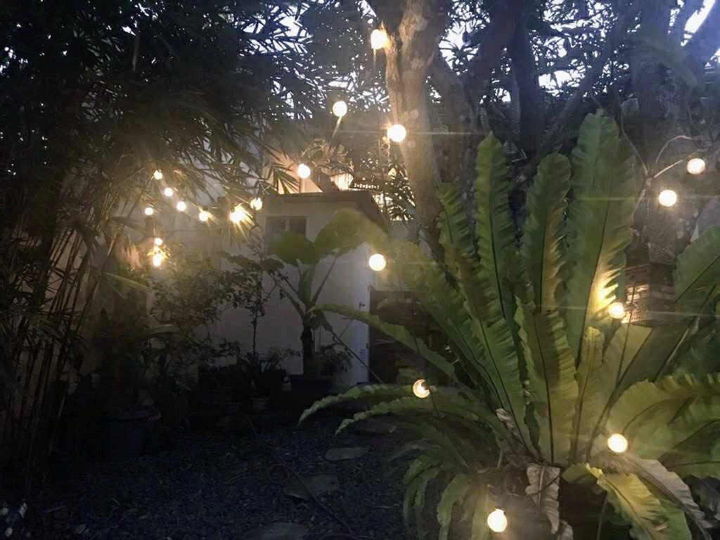 String lights solar (Category: Looking For) located in Cavite. Submitted by pixie_23 (Listing ID 1463160115, Image 3). Description: .