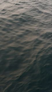 (Category: ) located in . Submitted by adam700074147 (Listing ID 1463262054, Image 1). Description: .