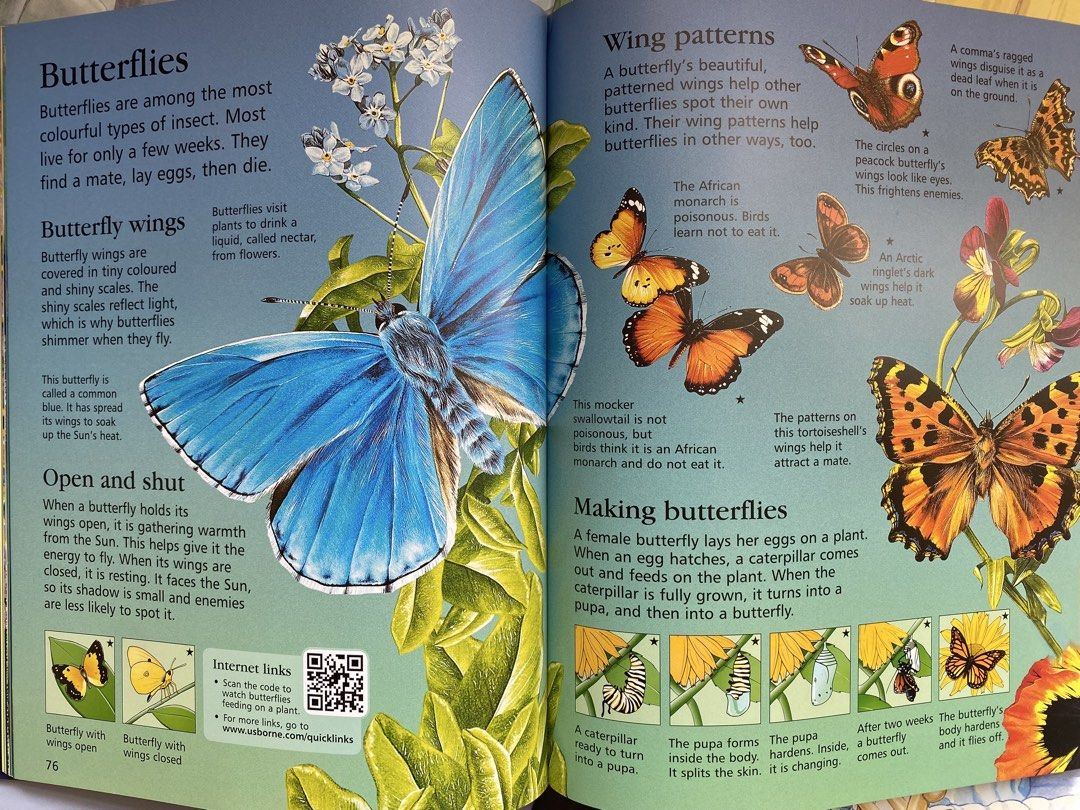Usborne Children’s Encyclopedia (New Edition) (Category: Assessment Books) located in Bulacan. Submitted by stay.fab (Listing ID 1463224349, Image 3). Description: 📚Includes 150 QR links and over 650 internet links for interactive learning. 📚Covers science, history, nature, and geography with photos and diagrams. 📚Hardcover/ heavy (almost 2kg)/ Like new/ may dedication sa front page.