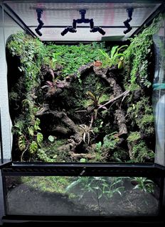 (Category: ) located in . Submitted by nativeforest9 (Listing ID 1463288039, Image 1). Description: .