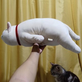 (Category: ) located in . Submitted by trinket_cat (Listing ID 1463257683, Image 1). Description: .