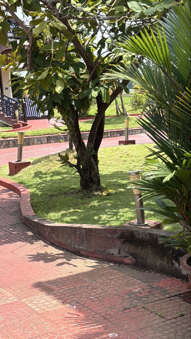 (Category: ) located in . Submitted by divya_raj (Listing ID 1463365722, Image 1). Description: .