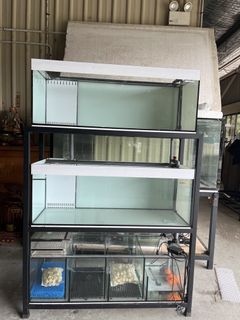 (Category: ) located in . Submitted by atlas_aqurium (Listing ID 1463343601, Image 1). Description: .