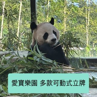 （分類：）位於 。 由 Byul_yi_ 提交（商品編號 1463405438，圖片 1）。簡介： 。