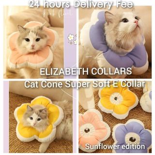 (Category: ) located in . Submitted by petstyle888 (Listing ID 1463363792, Image 1). Description: .