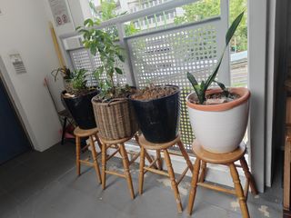 (Category: ) located in . Submitted by queenzy (Listing ID 1463351787, Image 1). Description: .