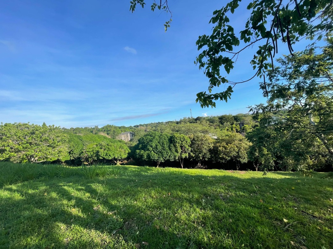 (Category: ) located in . Submitted by jpborjarealestatebroker (Listing ID 1463384465, Image 1). Description: .