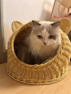（分類：）位於 。 由 mi_ching 提交（商品編號 1463340230，圖片 1）。簡介： 。