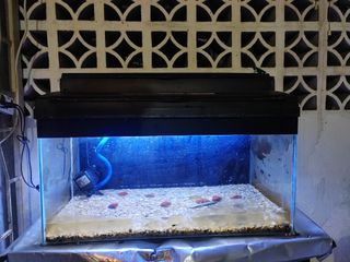 (Category: ) located in . Submitted by ganesha_mohan (Listing ID 1463446990, Image 1). Description: .