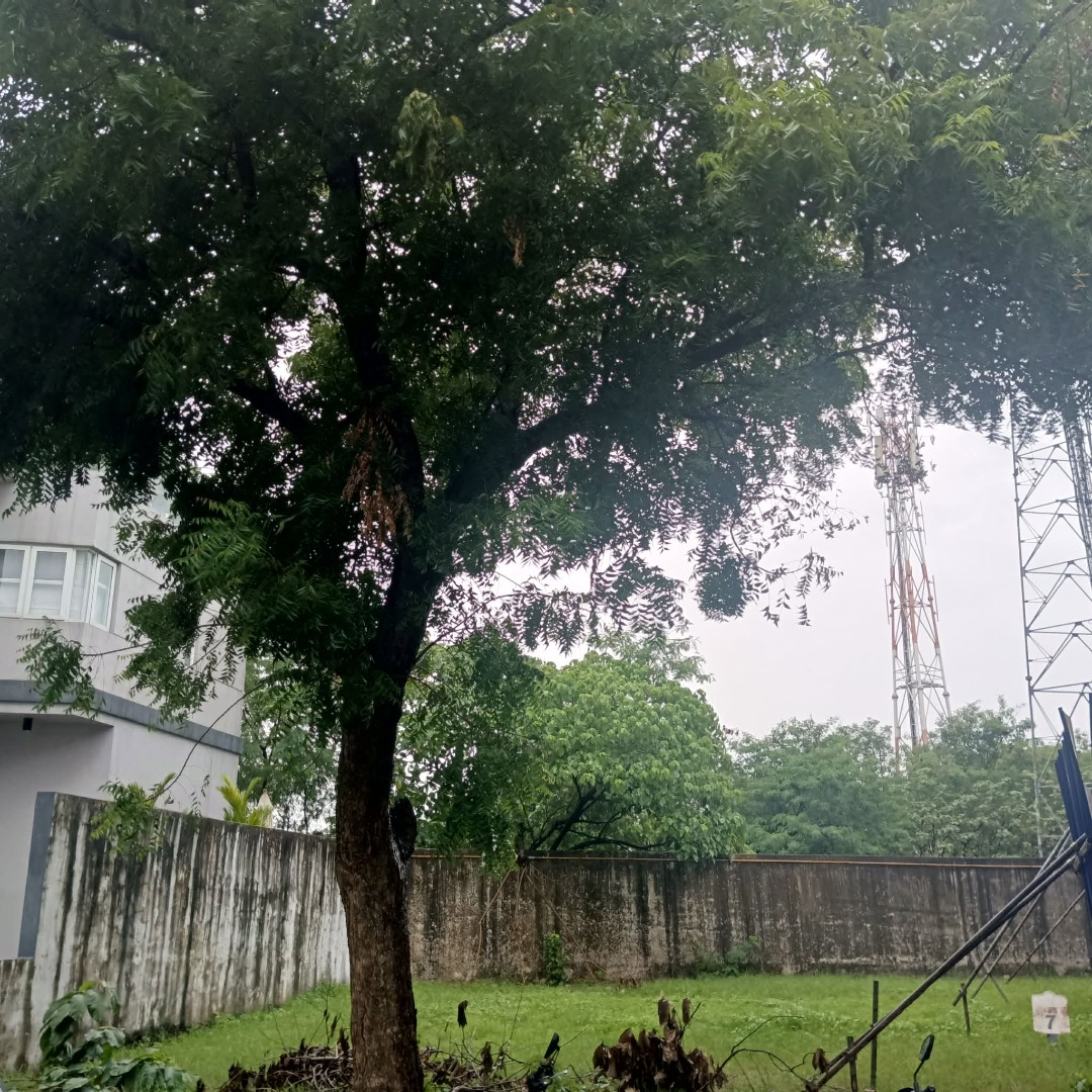 (Category: ) located in . Submitted by elevare_realty (Listing ID 1463438143, Image 1). Description: .