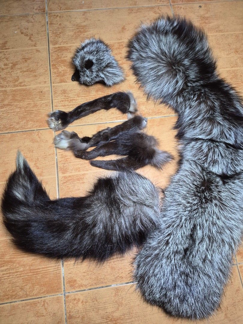 Genuine Fox Fur Stole and Tail Set (Category: Coats, Jackets and Outerwear) located in Iriga City. Submitted by ifj_japansurplus (Listing ID 1463396995, Image 3). Description: - Genuine fox fur set - Includes large fur trim, long fur tail, and smaller fur pieces - Stunning thick fur with silver and black coloration - Ideal for crafting projects or enhancing garments - Pieces are clean and well-preserved.