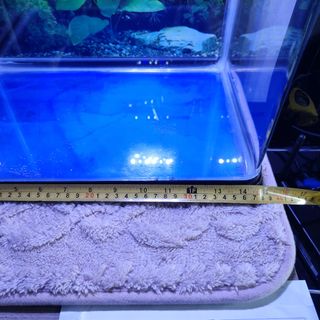 (Category: ) located in . Submitted by goldeneagle.1abd37 (Listing ID 1463413644, Image 1). Description: .