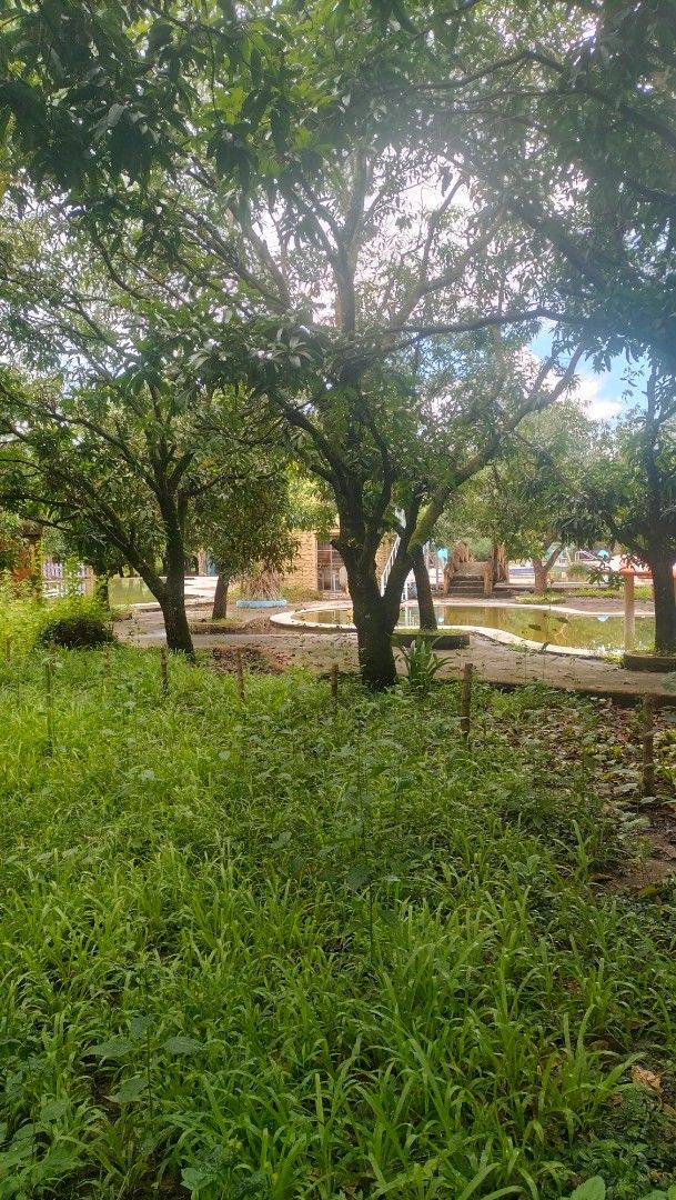 Lot For Sale (Category: Lot) located in Manila. Submitted by vinnette0119 (Listing ID 1463507717, Image 3). Description: 🏡 PRIVATE LOT FOR SALE – CABANATUAN CITY, NUEVA ECIJA! 🌿 📍 80 SQM Minimum Lot Area 💰 Regular Price: ₱4,000/sqm 🔥 PROMO PRICE: 💵 Cash Payment: ₱3,500/sqm 📅 Installment: ₱3,600/sqm — up to 60 months to pay! 4800 monthly Amort. ✨ Perfect for your dream home or future investment! ✨ Secure your own property today! 📩 Message 