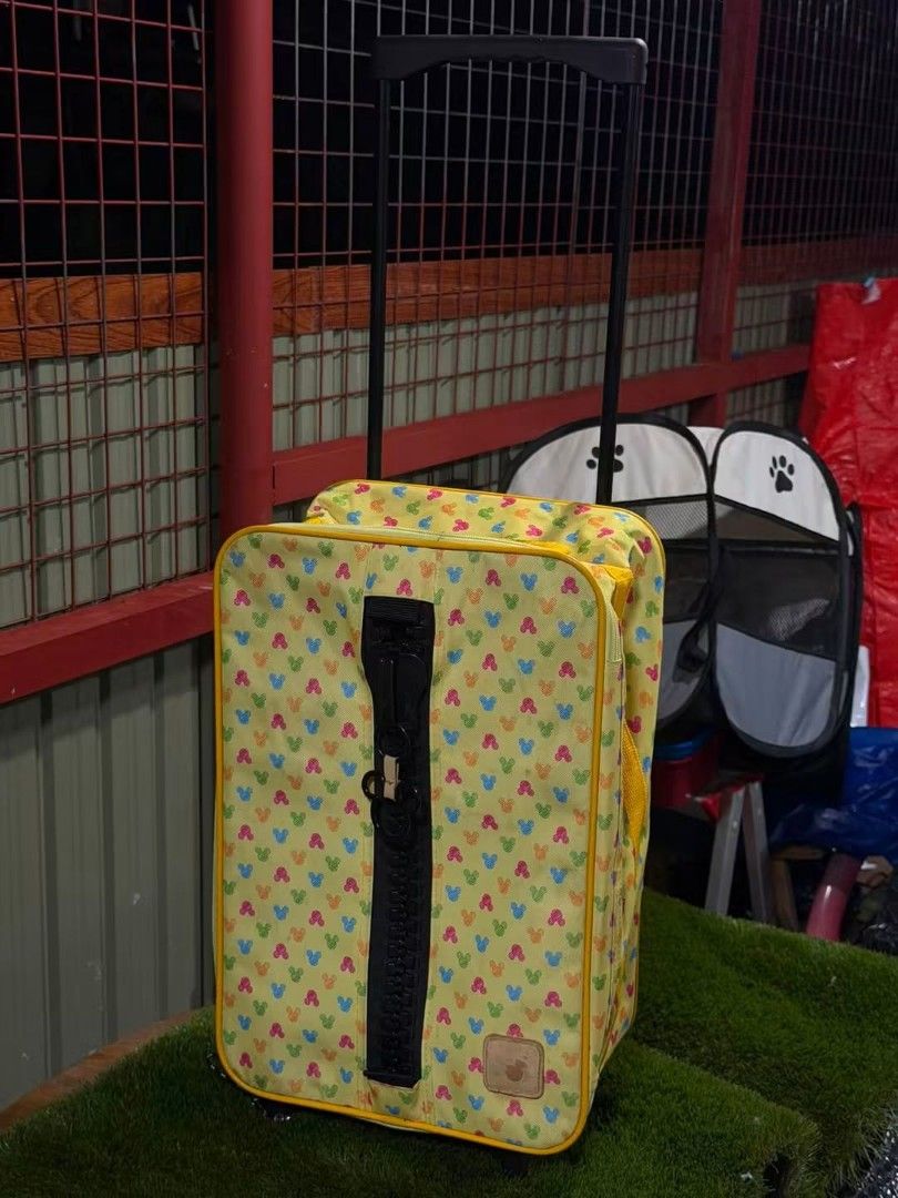 LUGGAGE TROLLEY (Category: Storage Boxes & Baskets) located in Sablan. Submitted by gongonshelley12 (Listing ID 1463444750, Image 1). Description: 480 ONLY LUGGAGE TROLLEY ANG GANDA NETO MGA MADAM DARKER COLOR IN ACTUAL RETRACTABLE FOR EASY KEEPING 30 X 17 X 45 cm.