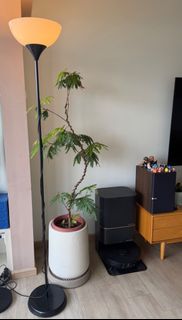 (Category: ) located in . Submitted by heyitsaud (Listing ID 1463345771, Image 1). Description: .