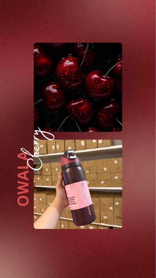 OWALA FreeSip Water Bottle - Various Fruit Designs (Category: Water Bottles & Tumblers) located in Manila. Submitted by mellnavarro_45618 (Listing ID 1463351858, Image 1). Description: Pretty girls need pretty Owalas! 599 only.
