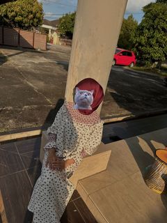 (Category: ) located in . Submitted by mariam2102 (Listing ID 1463455695, Image 1). Description: .