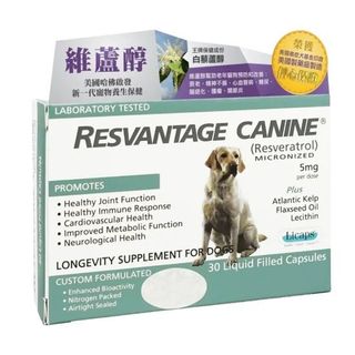 （分類：）位於 。 由 keenearth.rabbit 提交（商品編號 1463404614，圖片 1）。簡介： 。
