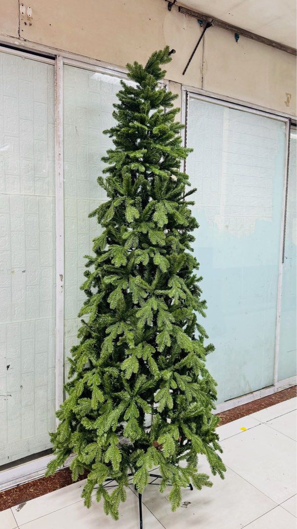 Semi slim Christmas tree (Category: Announcements) located in Manila. Submitted by jamesgani08 (Listing ID 1463357473, Image 2). Description: We have many sizes 6ft,7ft,8ft,10ft.