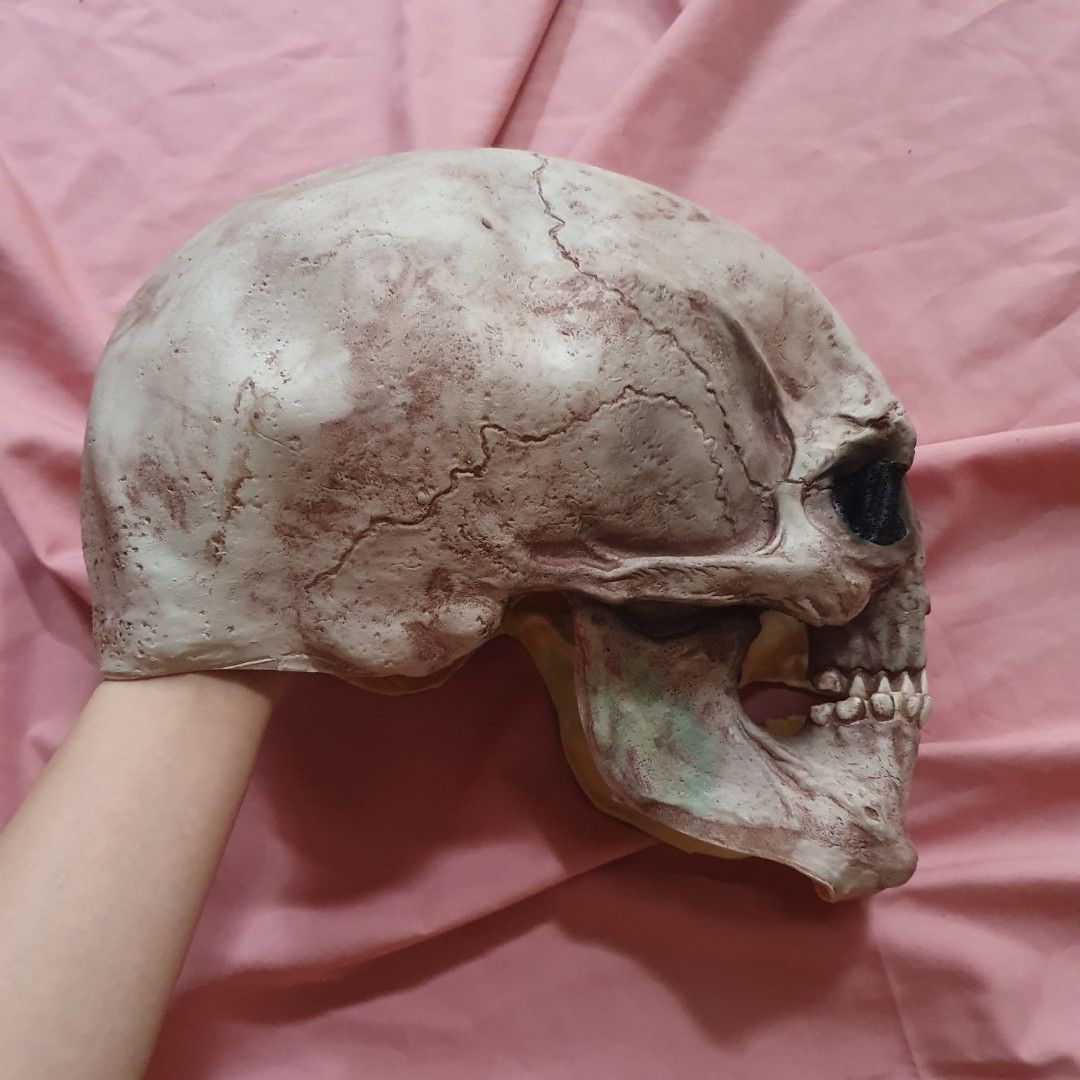 Skull Mask for Halloween or Parties (Category: Occasions & Party Supplies) located in Paranaque City. Submitted by cobien (Listing ID 1463464151, Image 3). Description: - Realistic, weathered skull mask - Perfect for Halloween or costume parties - Articulated jaw for a creepy effect - Mesh eye sockets for visibility - Make a statement and scare your friends!.