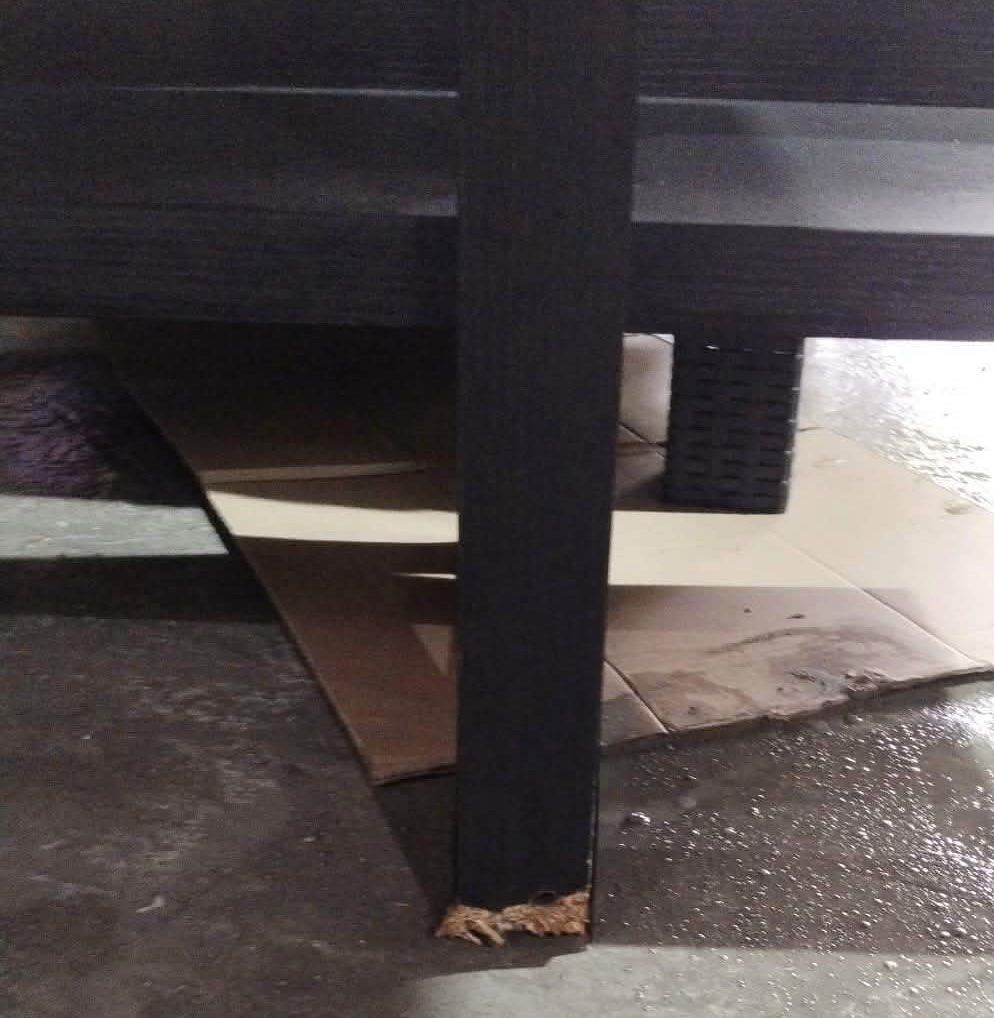 Wooden shelf (with slight foot damage) (Category: Shelves, Cabinets & Racks) located in Muntinlupa City. Submitted by declutter.clubph (Listing ID 1463399430, Image 2). Description: Wooden shelf With minimal damage at the foot stand From 4.4k now for sale at ₱4,000 ✨ Price still negotiable ✨ Location: RMT industrial complex, muntinlupa RMT warehouse 31AD.