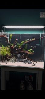 (Category: ) located in . Submitted by rupert123 (Listing ID 1463721236, Image 1). Description: .