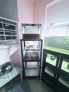 (Category: ) located in . Submitted by dali.vendetta (Listing ID 1463673484, Image 1). Description: .