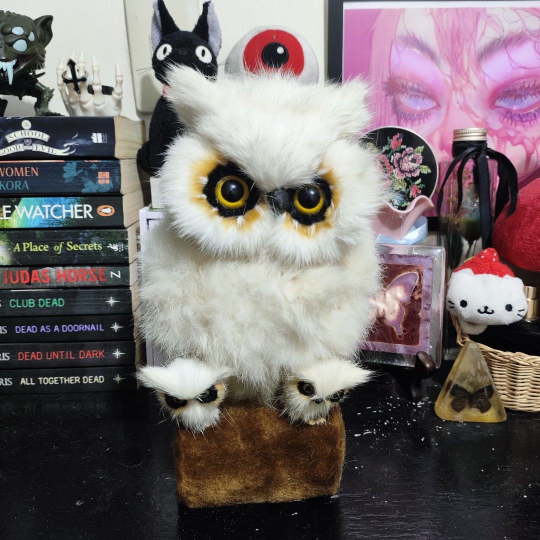 ✦ White Owl Furry Display Plush ✦ (Category: Plushies & Soft Toys) located in Santa Rosa. Submitted by rusalkascottage (Listing ID 1463582376, Image 2). Description: ✦ White Owl Furry Display Plush ✦ ୨୧ ───────────── ୨୧ P300 GC@@@sh P400 COD / PayLater ♡ Furry but hard yung inside ♡ Missing beak sa small owls ♡ WYSIWYG ♡ Good condition ♡ Onhand & ready to ship ୨୧ ───────────── ୨୧ ✦ FAQs ✧ Location: Sta. Rosa, Laguna ✧ Shipping starts at P36 ✧ COD