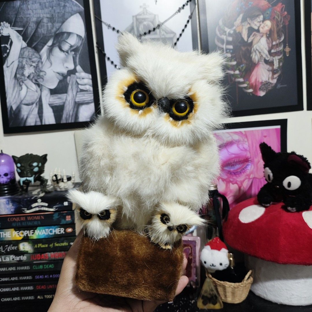 ✦ White Owl Furry Display Plush ✦ (Category: Plushies & Soft Toys) located in Santa Rosa. Submitted by rusalkascottage (Listing ID 1463582376, Image 1). Description: ✦ White Owl Furry Display Plush ✦ ୨୧ ───────────── ୨୧ P300 GC@@@sh P400 COD / PayLater ♡ Furry but hard yung inside ♡ Missing beak sa small owls ♡ WYSIWYG ♡ Good condition ♡ Onhand & ready to ship ୨୧ ───────────── ୨୧ ✦ FAQs ✧ Location: Sta. Rosa, Laguna ✧ Shipping starts at P36 ✧ COD