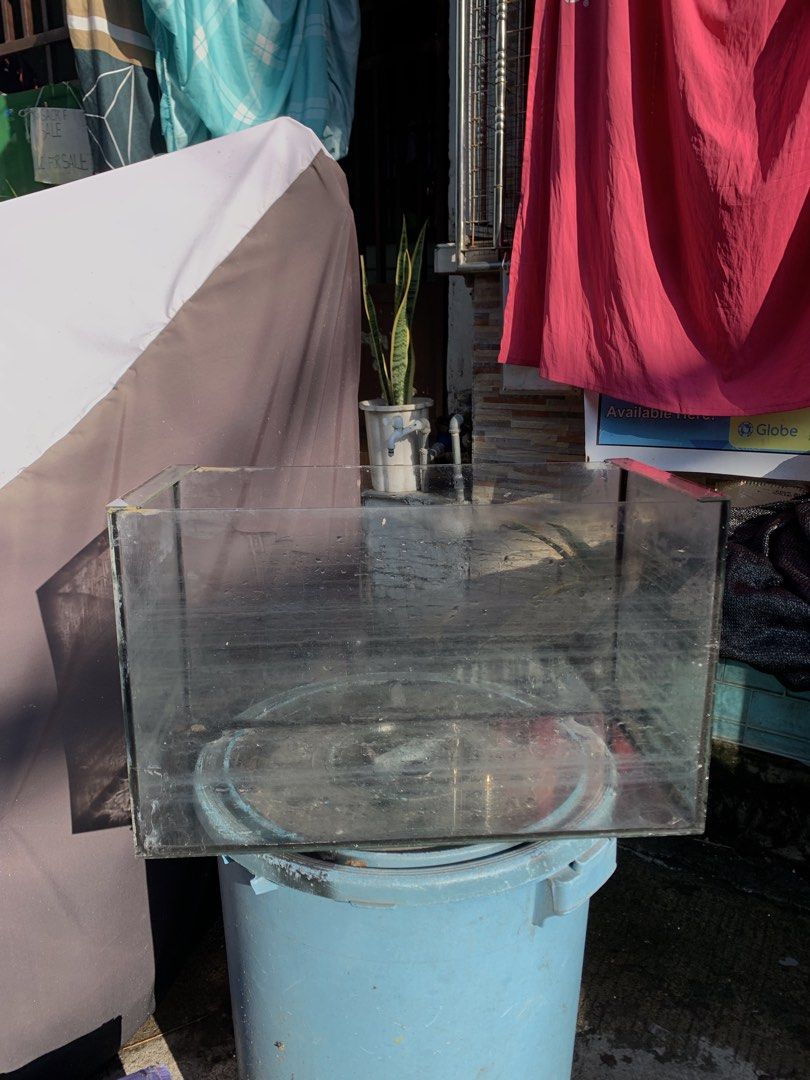Aquarium 15 Gallons (Category: Everything Else Others) located in Calamba. Submitted by sidcorner_thrift (Listing ID 1463557595, Image 3). Description: Rfs: Decluttering, used only for Extra aquarium for feeds only .