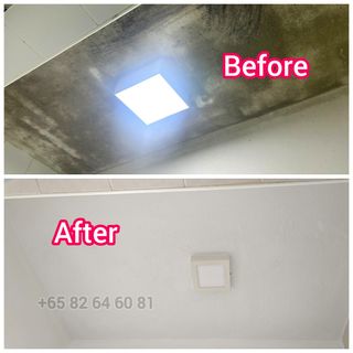 Anti Mould Treatment  Collection item 1