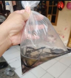(Kategori: ) berada di . Dikirim oleh fanyafeb (ID iklan 1463606884, Gambar 1). Deskripsi: .