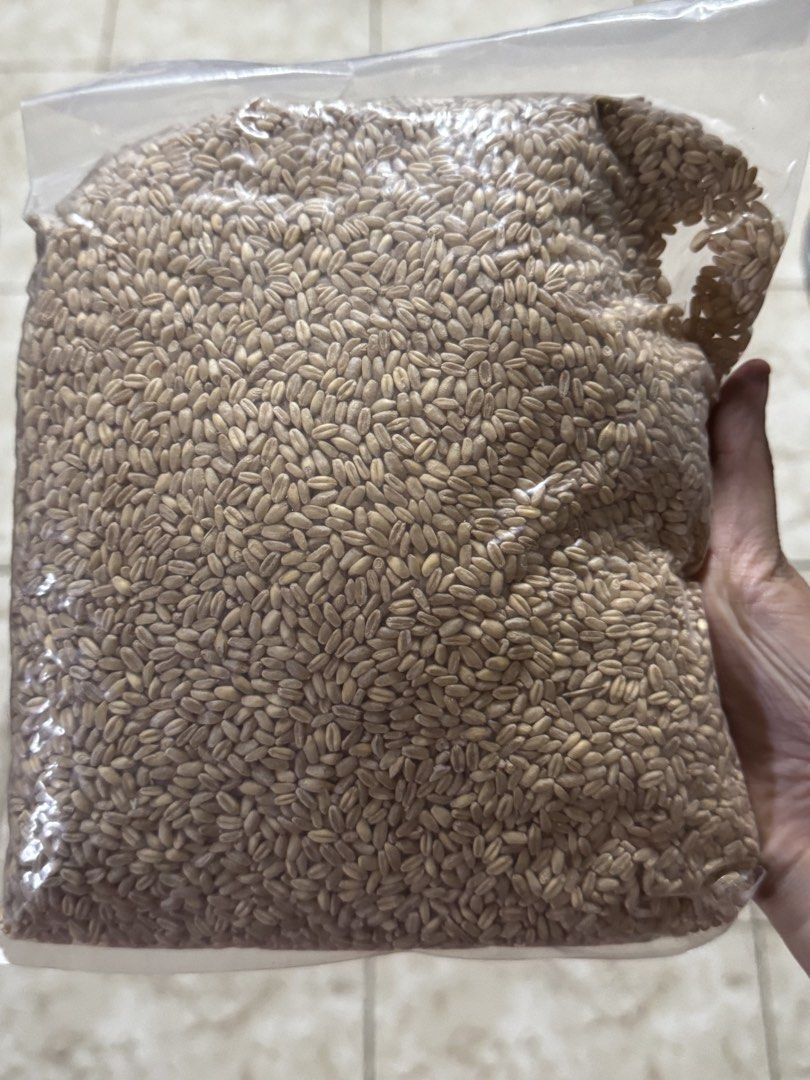 Bulgur 1kg (Category: Food Organization & Storage) located in Pasay City. Submitted by shirley.manacsa (Listing ID 1463702853, Image 1). Description: .